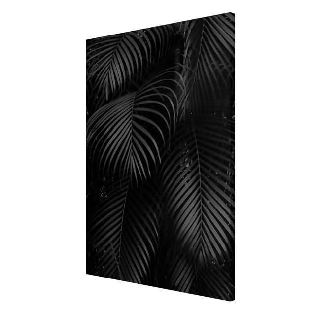 Magnetic memo board - Black Palm Fronds