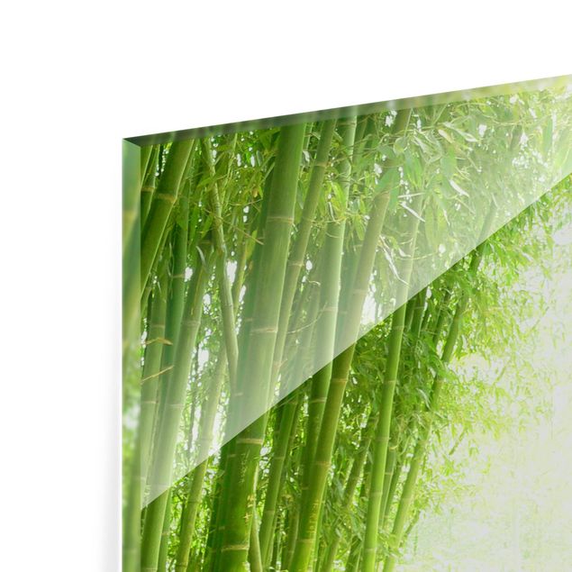 Glass Splashback - Bamboo Way - Square 1:1