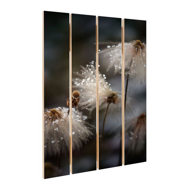 Print on wood - Dandelions With Snowflakes