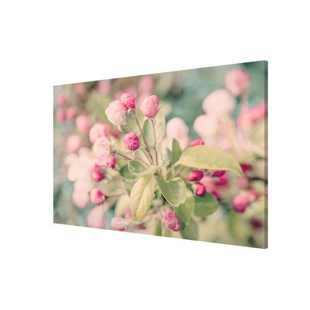 Magnetic memo board - Apple Blossom Bokeh Light Pink
