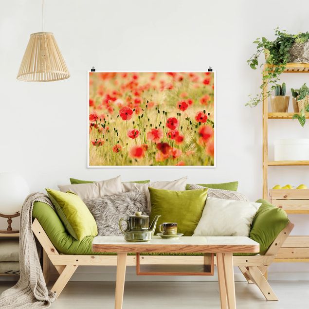 Poster - Summer Poppies