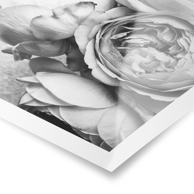 Poster - Peony Flowers Black White