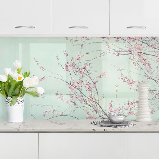 Kitchen splashback flower Cherry Blossom Yearning