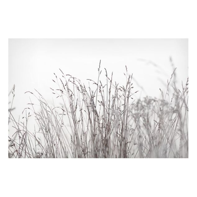 Magnetic memo board - Winter Grasses