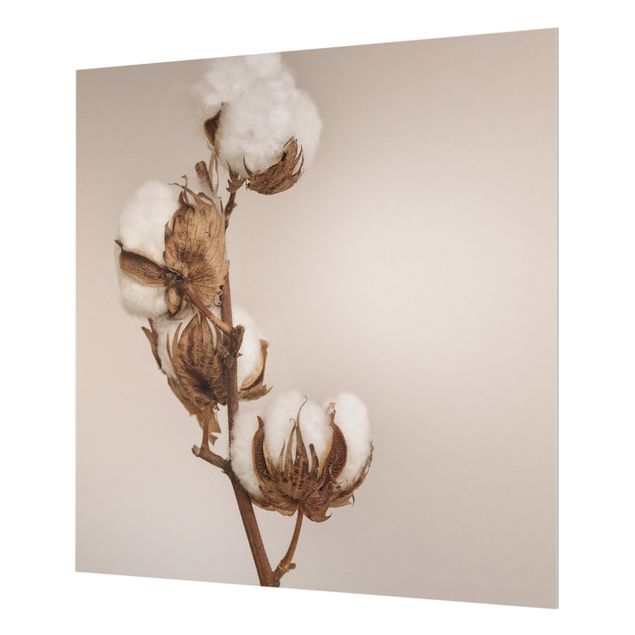 Splashback - Fragile Cotton Twig - Square 1:1