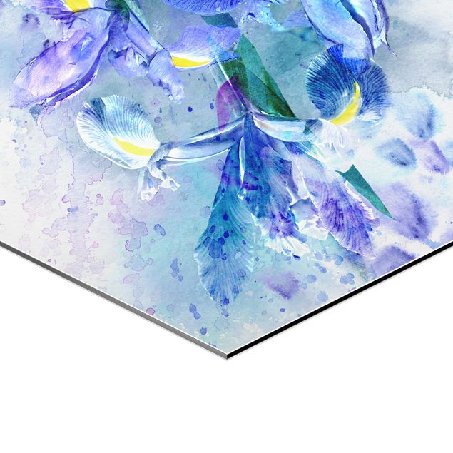 Alu-Dibond hexagon - Watercolour Flowers Iris