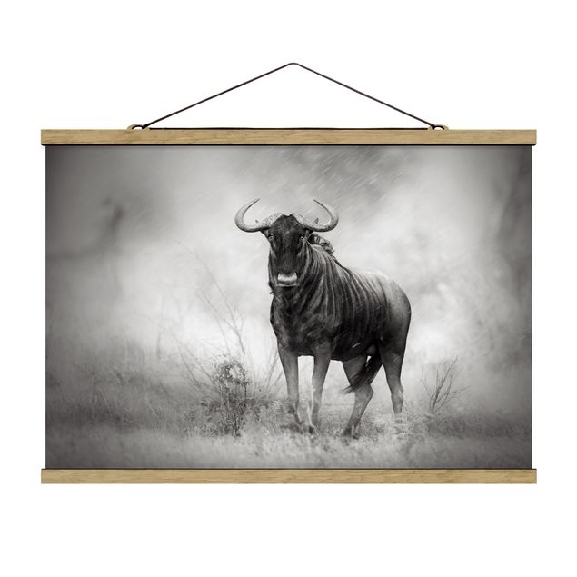 Fabric print with poster hangers - Staring Wildebeest