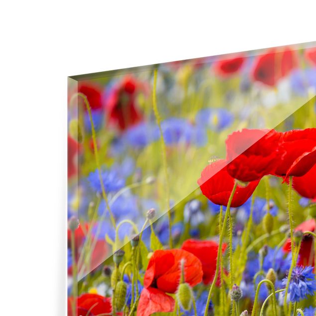 Splashback - Summer Meadow With Poppies And Cornflowers