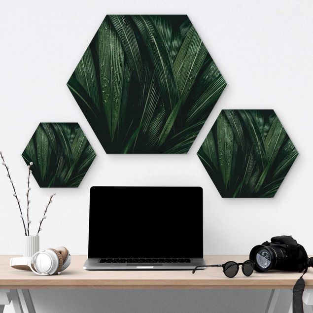 Wooden hexagon - Green Palm Leaves