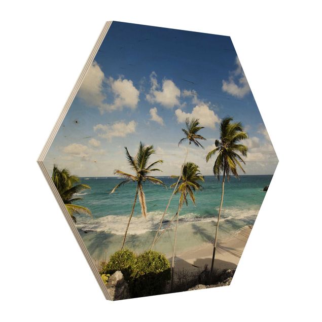 Wooden hexagon - Beach Of Barbados
