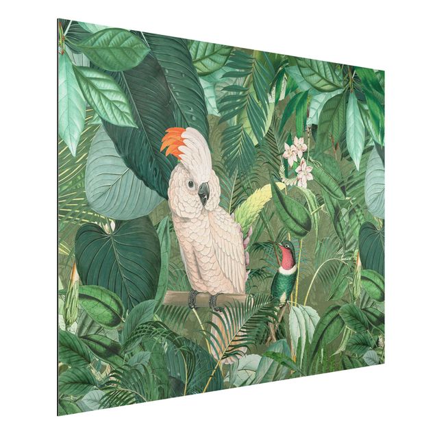 Dibond Vintage Collage - Kakadu And Hummingbird