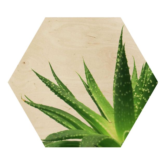 Wooden hexagon - Aloe Vera