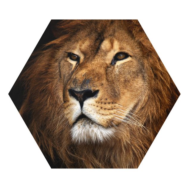 Forex hexagon - Lion's Gaze