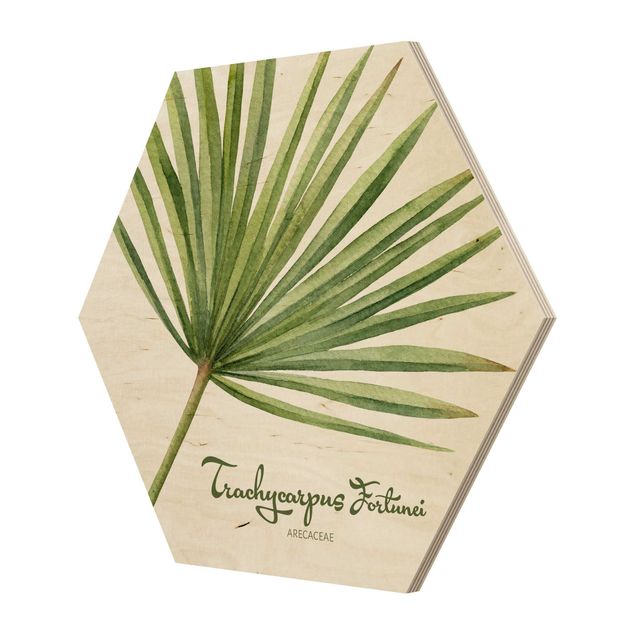 Wooden hexagon - Watercolour Botany Trachycarpus Fortunei