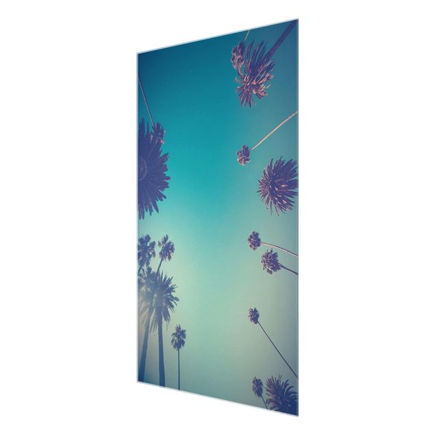 Glass print - Tropical Plants Palm Trees And Sky II