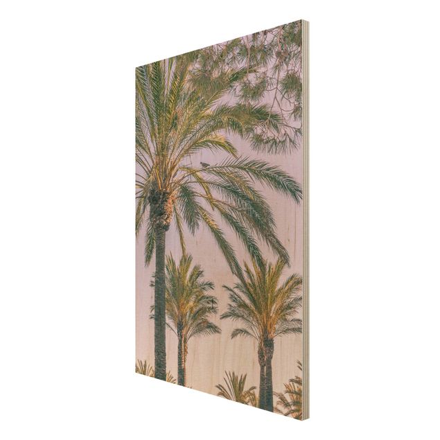Print on wood - Palm Trees At Sunset