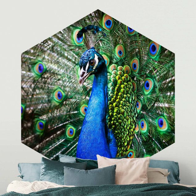 Wallpapers Noble Peacock