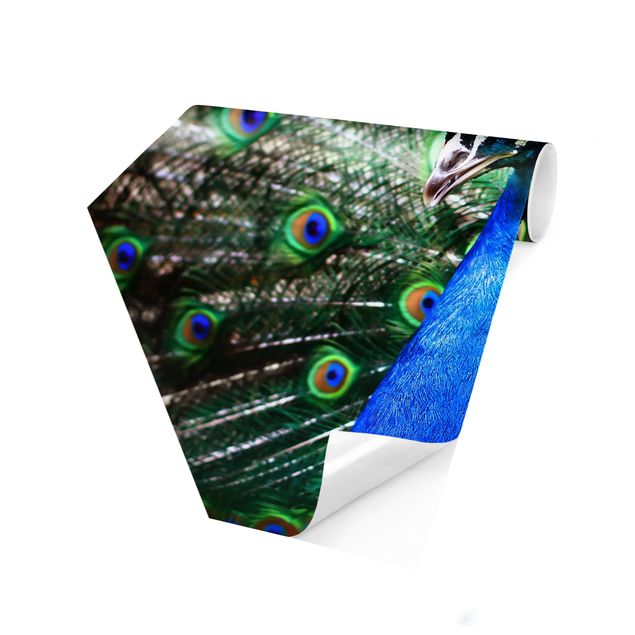 Self-adhesive hexagonal pattern wallpaper - Noble Peacock