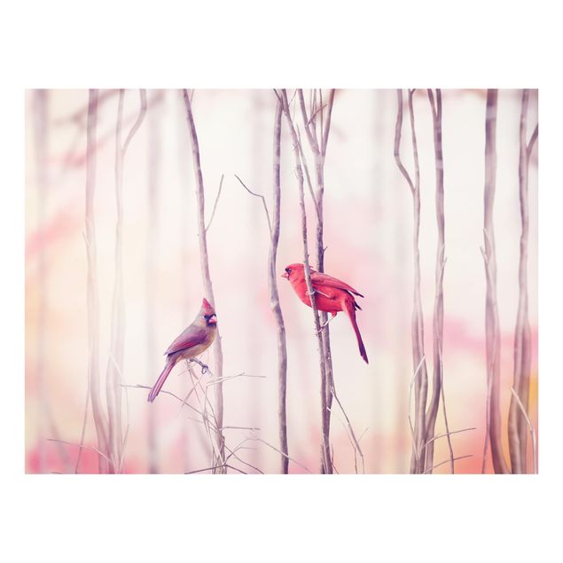 Glass Splashback - Birds on branches - Landscape 3:4