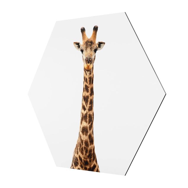Alu-Dibond hexagon - Giraffe head