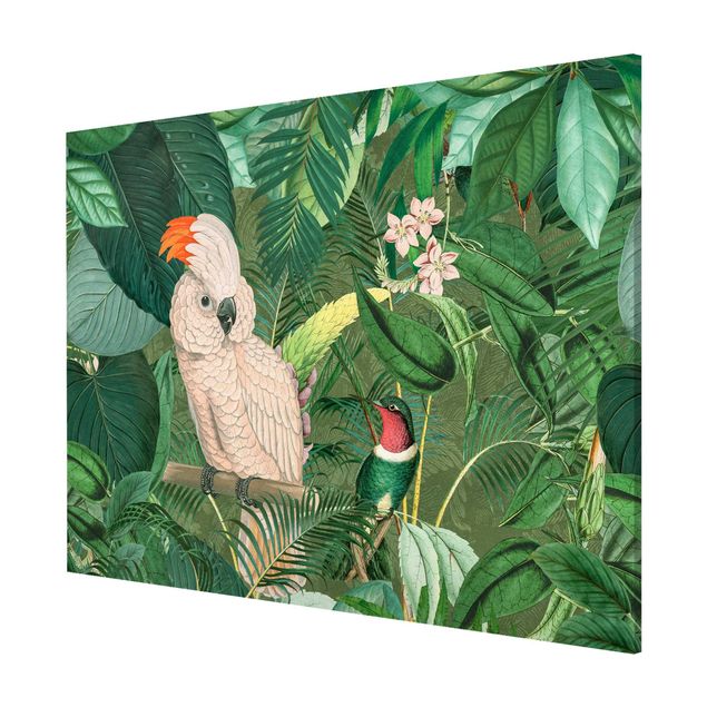 Magnetic memo board - Vintage Collage - Kakadu And Hummingbird