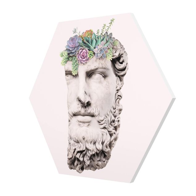 Forex hexagon - Head With Succulents