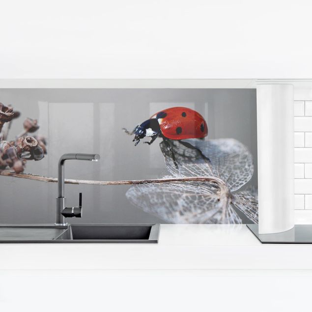 Kitchen wall cladding - Ladybird On Hydrangea