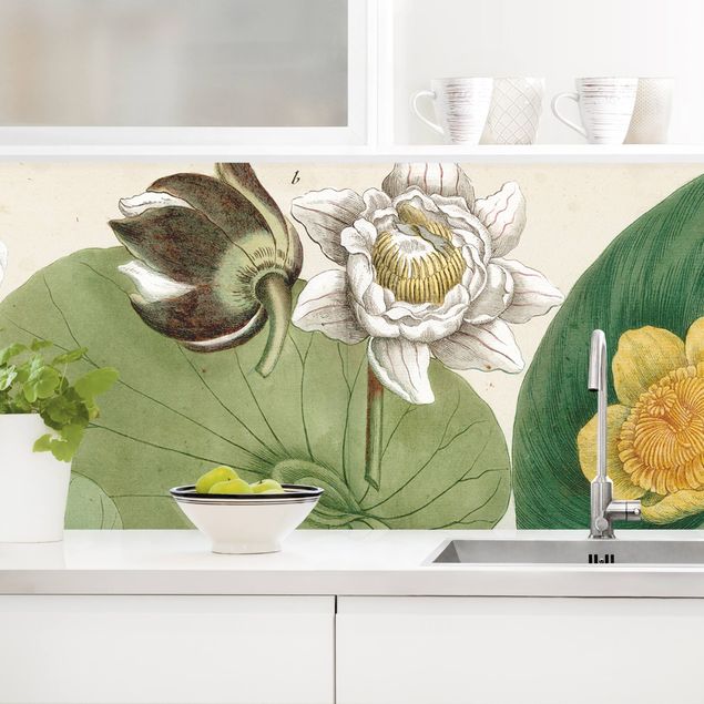 Kitchen splashback flower Vintage Board White Water-Lily