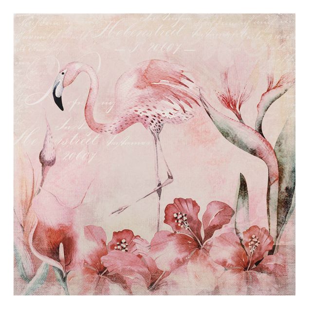 Glass splashbacks Shabby Chic Collage - Flamingo