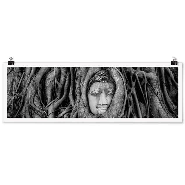 Poster - Buddha In Ayutthaya Lined From Tree Roots In Black And White