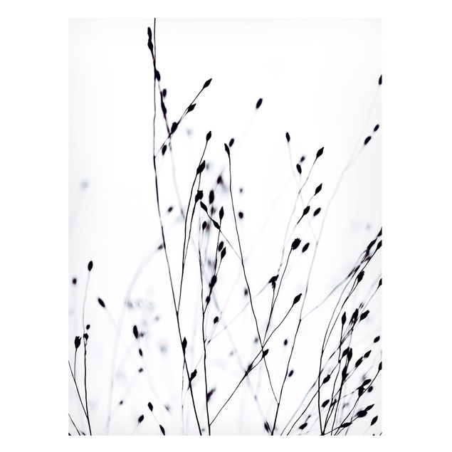 Magnetic memo board - Soft Grasses In Nearby Shadow