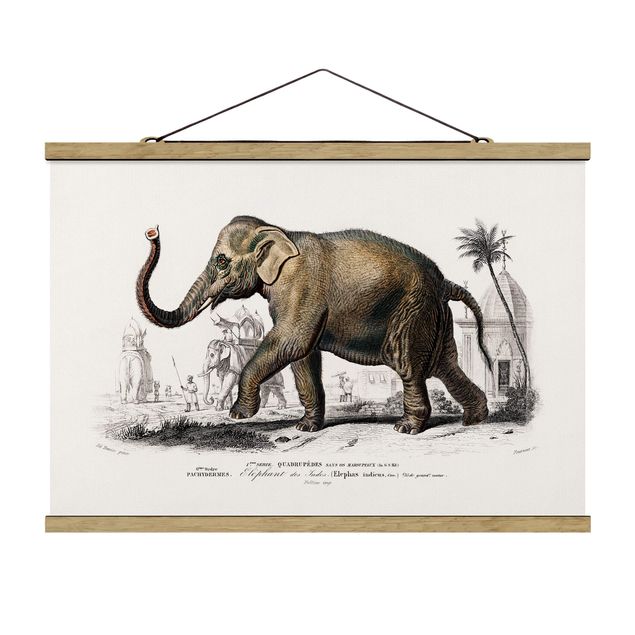 Fabric print with poster hangers - Vintage Board Elephant