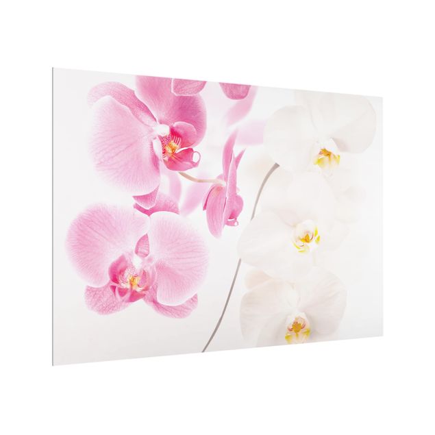 Glass Splashback - Delicate Orchids - Landscape 3:4