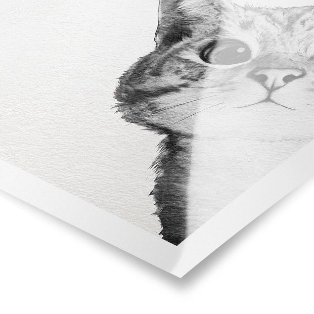 Poster - Illustration Cat Drawing Black And White