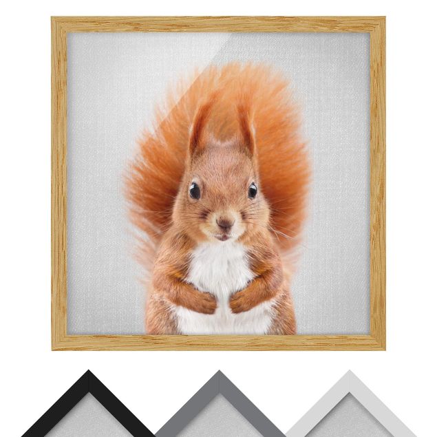 Framed poster - Squirrel Elisabeth