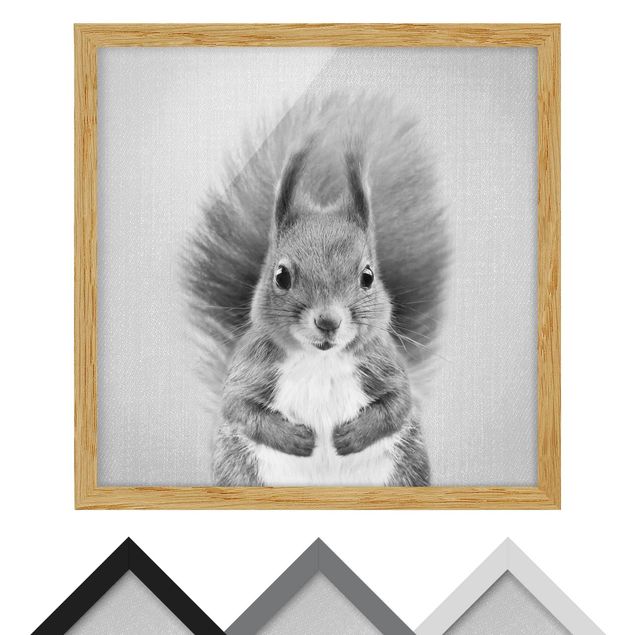 Framed poster - Squirrel Elisabeth Black And White