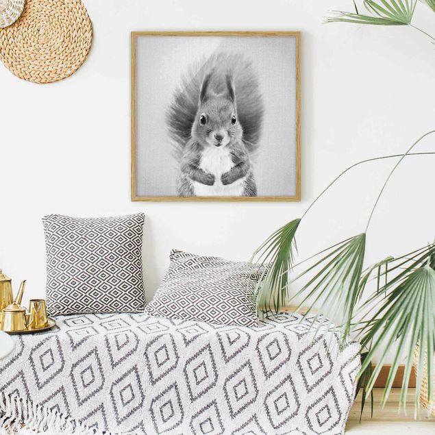 Framed poster - Squirrel Elisabeth Black And White