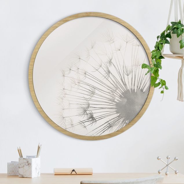 Framed prints round A Touch Dandelion II