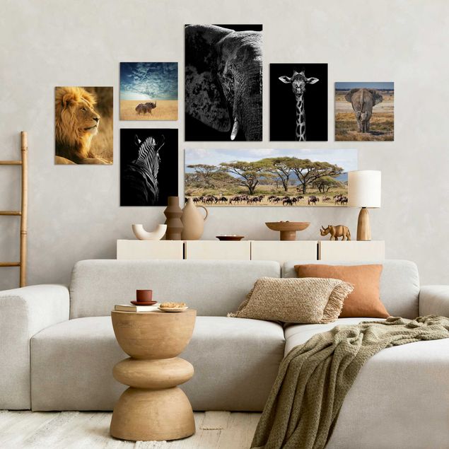 Gallery Walls - Safari In Africa