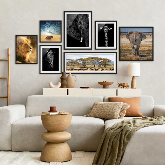 Gallery wall Safari In Africa
