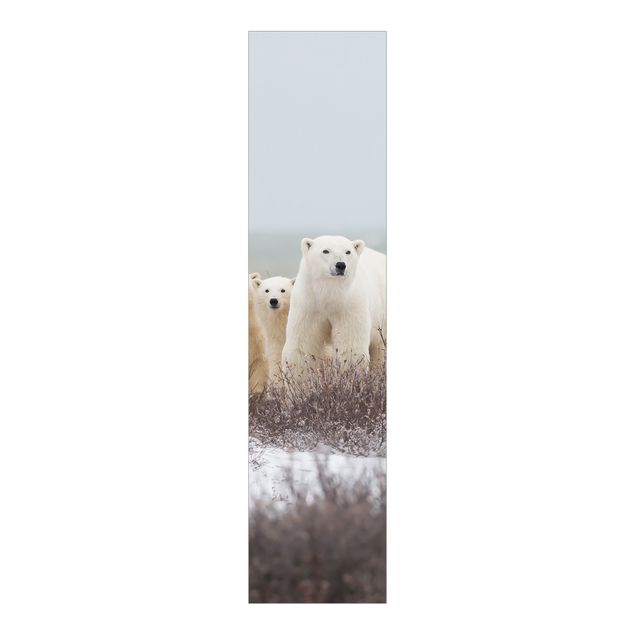 Sliding panel curtains set - Polar Bear And Her Cubs