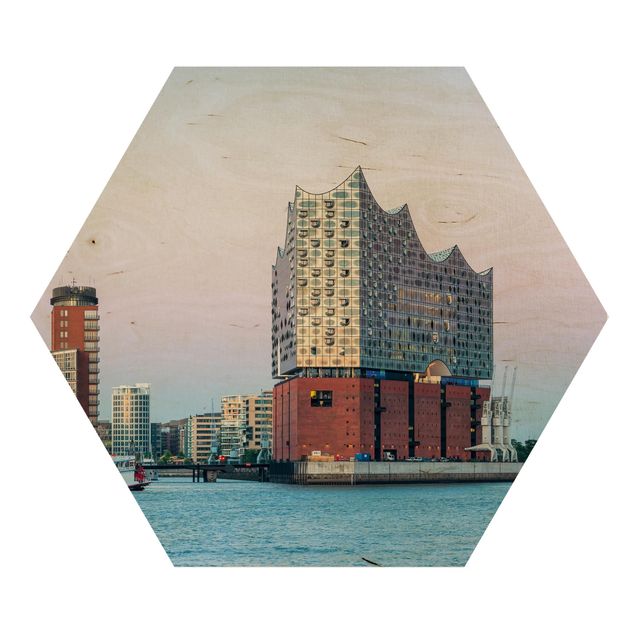 Wooden hexagon - Elbphilharmonie Hamburg