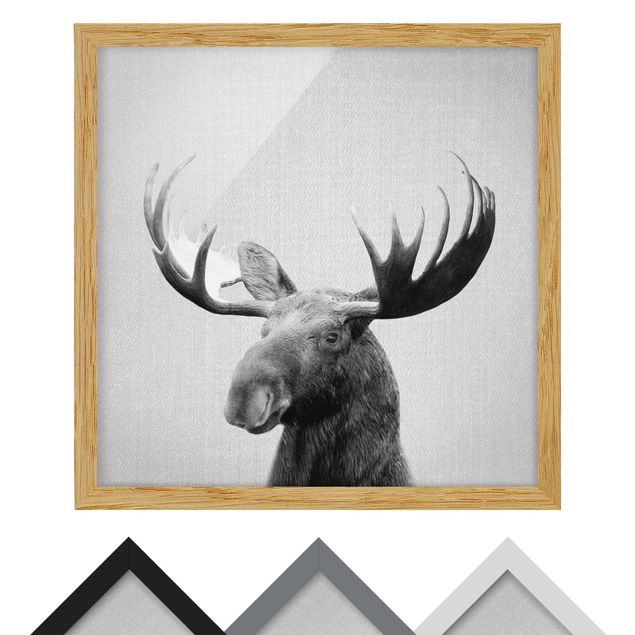 Framed poster - Elk Erhardt Black And White