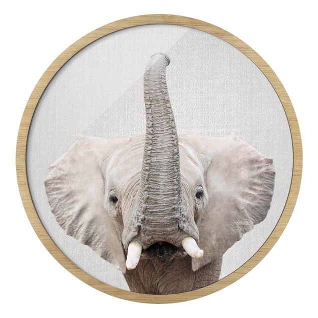 Circular framed print - Elephant Ewald