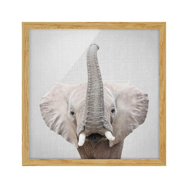 Framed poster - Elephant Ewald