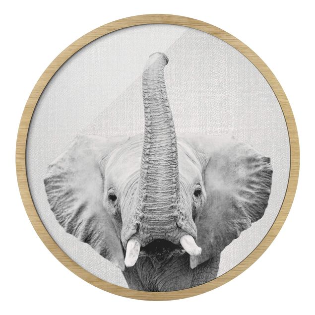 Circular framed print - Elephant Ewald Black And White
