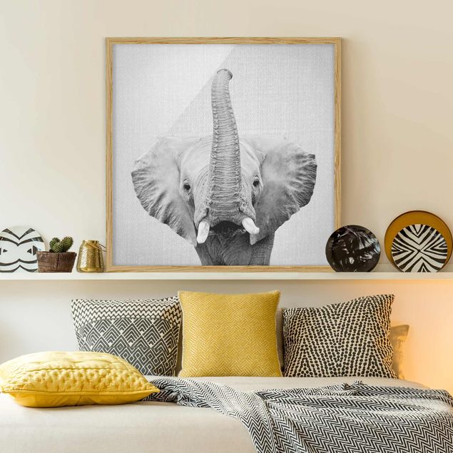 Framed poster - Elephant Ewald Black And White