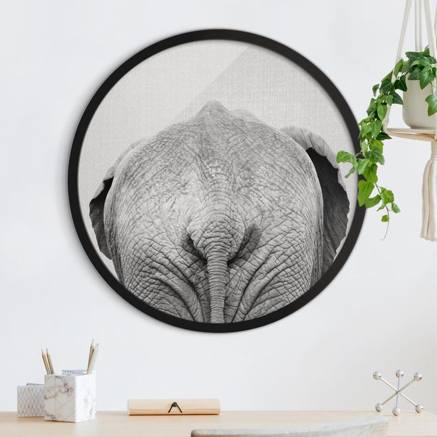 Framed prints round Elephant From Behind Black And White