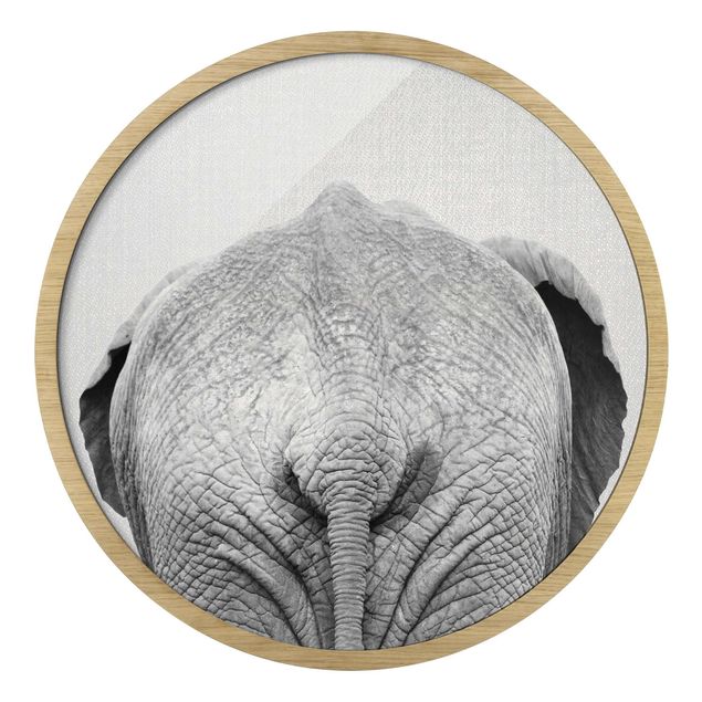 Circular framed print - Elephant From Behind Black And White