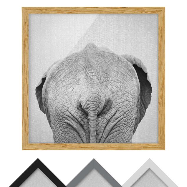 Framed poster - Elephant From Behind Black And White